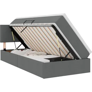 vidaXL Bett mit Stauraum und LED mit LED Dunkelgrau 100 x 200 cm Stoff - Grau