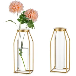 Sziqiqi Gold Gestell Glasvase - Metall Draht Blumenvase Set von 2 Reagenzglas Propagation Station für Hydroponik Moderne Zylinder Vase für Hochzeiten Weihnachten Muttertag