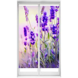 Blindecor Duo Relax | 2er-Pack Rollos Blickdicht ohne Bohren Easy Fix Digitaldruck | Modell Lavendel | 40 x 150 cm (Breite x Höhe) Stoffgröße 37 x 145 cm