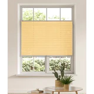 my home Plissee »LAHOLM« Lichtschutz ohne Bohren verspannt Fixmaß, Bestseller mit über 3000 4,5-Sterne-Bewertungen, Klemmträger, orange