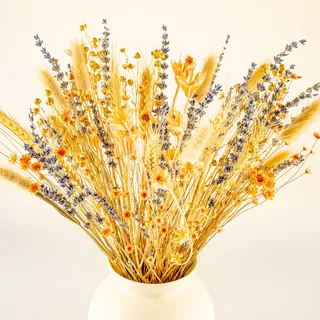 Meine Orangerie - Trockenblumen Set - 166 Stiele - Trockenblumenstrauß - Stilvolle und natürliche Trockenblumen Deko - Tisch Deko - Hochzeitsdeko (Dream of Provence)