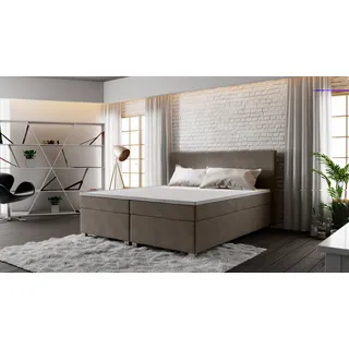 Roe Furniture | Boxspringbett - SIMPLE - 140x200 cm - Grau - Taschenfederkern-Matratze - Doppelbett - Tagesbett - Bett Schlafzimmer - Gästebett - Grau