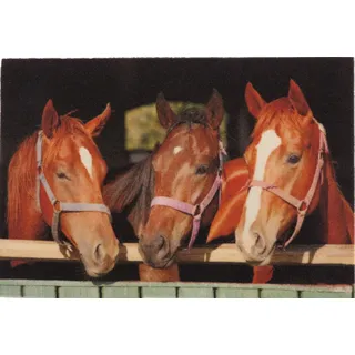 Ilias Trade Deco-Star Teppich, Mehrfarbig, Einheitsgröße