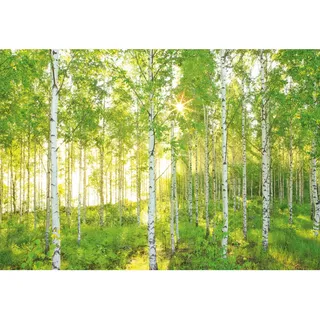 KOMAR Fototapete "Sunday 368 x 254 cm (8-519)