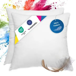 wometo 2er Set Federkissen 100% Federn 40x40-300g Oeko-TEX Sofakissen Füllkissen Bezug Baumwolle weiß/Innenkissen/Kissenfüllung/kleine Kopfkissen (2 Stück)