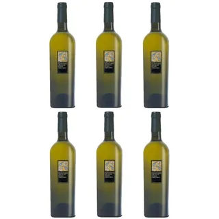 Feudi di San Gregorio Wein Falanghina - Karton 6 Stück