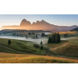 Papermoon »Photo-Art ALES KRIVEC, ALPE DI SEISI«, bunt,