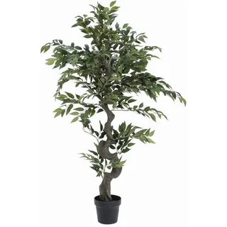 Europalms Ficus Waldbaum, 110cm