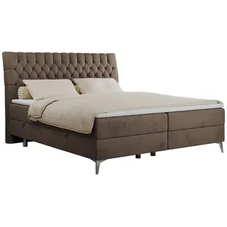 MKS Meble MKS Boxbett, Braun Velvet - H3 - Schlafzimmer, Betten, Boxspringbetten