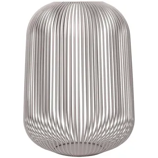 Lito mourning dove L