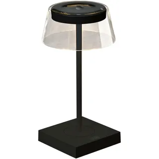 Konstsmide Scilla Schwarz 2 St.