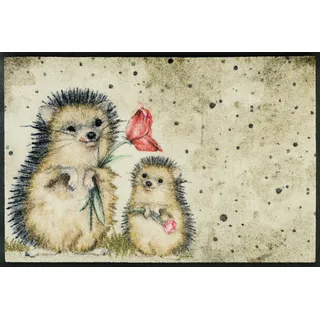 Wash+Dry Fußmatte Spike 50x75 cm, innen und außen, waschbar