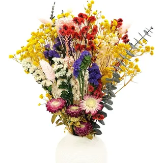 CAwished 32 Stück Trockenblumenstrauß Naturliche Trockenblumen Deko Tischboho Naturliche Blumen aus echten Blumen für Wohnzimmerdeko Hochzeitsarrangement