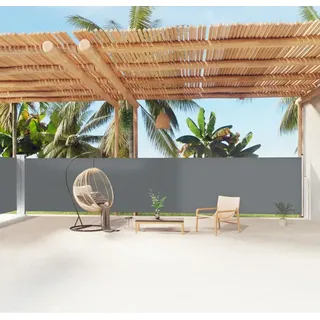 The Living Store Seitenmarkise Ausziehbar Anthrazit 160x1200 cm - Grau