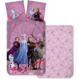 Disney Die EIskönigin Baby Kleinkinder Bettwäsche Set 100x135 40x60
