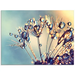 Artland Glasbild »Pusteblume Glitzertau« Blumen 1 Stk. tlg. in verschiedenen Größen, blau