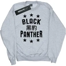 Marvel, Herren, Pullover, Black Panther Legenden Baumwolle Sweatshirt, Grau, (3XL)