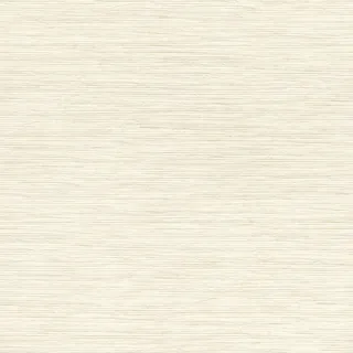Rasch Tapeten 866452 - Unitapete aus Vlies in Cremeweiß aus der Kollektion Symphony - 10,05 m x 0,53 m (LxB)