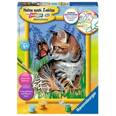Bild von Malen nach Zahlen - Katze mit Schmetterling