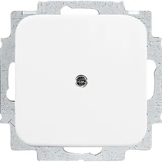 Busch-Jaeger 2538-214 Blindzentralscheibe mit Tragring Reflex SI alpinweiß 2CKA001715A0275