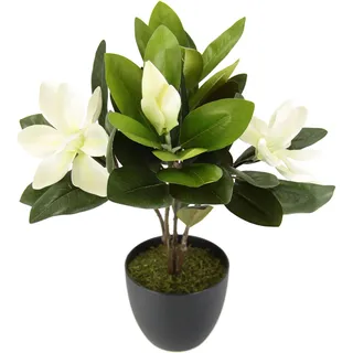 I.GE.A. Kunstblume »Magnolie« im Topf künstlich Frühling Seidenblumen Raumdeko, weiß