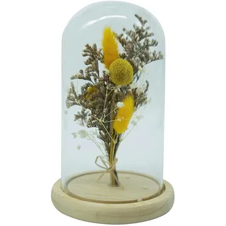HEITMANN DECO Trockenblumen in Glasglocke, Natur/gelb, ca. 12x12x17 cm