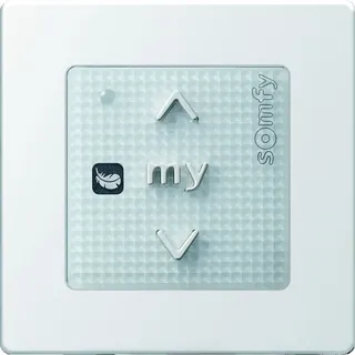 SOMFY Smoove Origin RS100 io Rollladen
