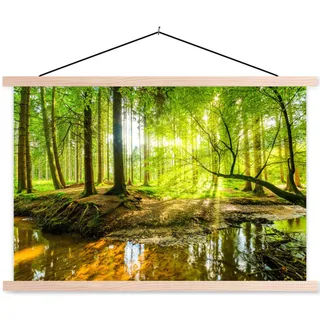 MuchoWow Poster Wald - Landschaft - Wasser - Bäume - Sonne - Grün - Natur 120x80 cm , Textil , Rechteckig , 120x80x0.15 cm , Bilder & Rahmen, Bilder, Sonstige Wandbilder