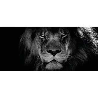 Bönninghoff Leinwandbild "Wandbild LÖWENKOPF XXL 90x200 cm – Leinwandbild Keilrahmen Deko modern" Löwe  Löwen  Wildtiere 1 Stk. tlg. auf Keilrahmen gespannt, farbe bild(er): schwarz, weiß