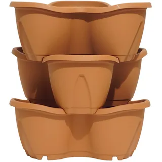 Stewart Erdbeere und Kräuter Pflanzgefäß Terracotta Balkonset