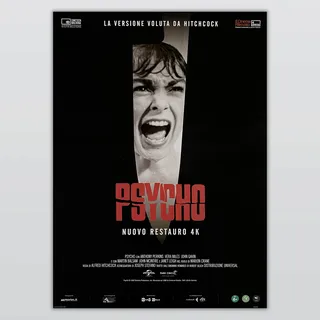 Psyco Alfred Hitchcock Poster - 70 x 100 cm
