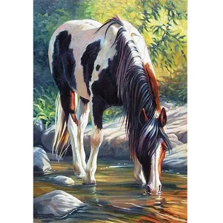 5D Diamond Painting Diamant Malerei Painting Bilder, Wowdecor Pferd Tiere Strom Stein Baum Full Set Groß DIY Diamant Gemälde Malen Nach Zahlen