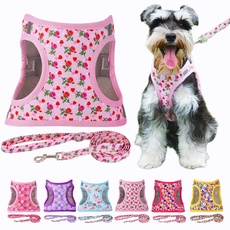 Moonpet Step in Air Hundegeschirr Leine Set – Reflektierendes Blumenmuster gepolsterte Netzweste Geschirr für Katzen, Welpen, extra kleine, kleine, mittelgroße Hunde-Herz Rose – XS