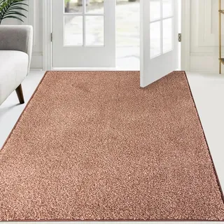 FCSDETAIL Schmutzfangmatte Innen 120 x 180 cm, rutschfeste Maschinenwaschbare Fußmatte, Sauberlaufmatte, Eingangstürmatte mit Wasserabsorbierenden, Fussmatte für Hund, Eingang, Haustür & Flur