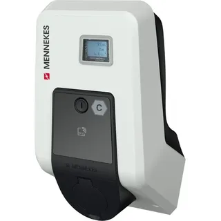 AMTRON Professional 22 22 kW (1384402) light gray