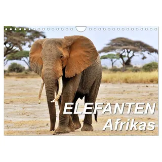 Calvendo Elefanten Afrikas (Wandkalender 2026 DIN A4 quer), CALVENDO Monatskalender: Die Dickhäuter Afrikas erscheinen mal imposant und mächtig, mal sind sie zärtlich und fürsorglich. (CALVENDO Tiere)