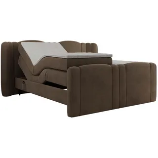 MKS Fortina 180 x 200 cm H3 Braun
