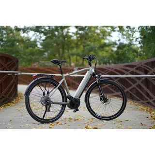 Prophete Entdecker 4.0 Trekking E-Bike 28 Zoll - 540 Wh - Integrierter Akku - Mittelmotor - 10-Gang Kettenschaltung - HDY. Scheibenbremse - Rahmenhöhe 54 cm