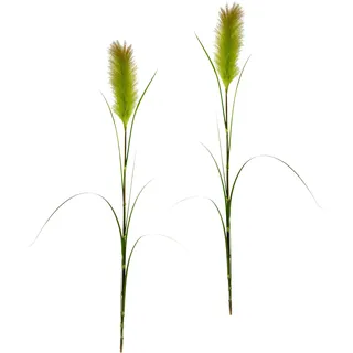 I.GE.A. Kunstpflanze »Pampas« Pampasgras, Boho, 2er Set, grün