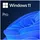 Windows 11 Pro 64-Bit OEM ES