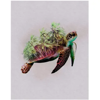 KOMAR Bild, »Animals Paradise Turtle« Tiere 1 Stk. tlg. Wandbild zur Dekoration, | ohne Rahmen, bunt