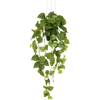 Creativ green Kunstpflanze »Hängender Philodendron hederaceum« mit üppigen Ranken