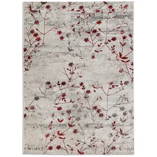 Astra Webteppich , Rot , Textil , rechteckig , 80x150 cm , für Fußbodenheizung geeignet, antistatisch, pflegeleicht , Teppiche und Böden, Teppiche, Moderne Teppiche