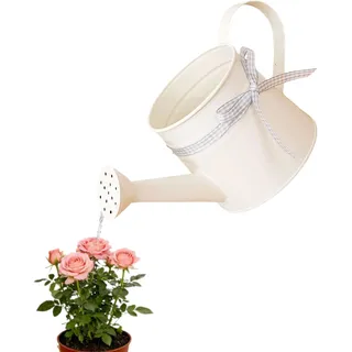 Kleine Gießkanne aus Metall, 1L Vintage Zimmerpflanzen Gießkanne mit Band, Verzinkte Wasserkannen Gartenkrug mit Sprinkler Rosenkopf, für Garten Yarde Hourse Pflanzen Blume (Weiß)