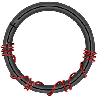 Longbeauty 16G 1.2mm Edelstahl Piercing Ringe Segmentring Clicker Nasenringe Ohrringe Nahtlose Hoops für Tragus Knorpel Septum Helix, 8mm, Schwarz/Rot