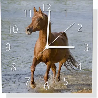 Wallario Design Wanduhr Braunes Pferd am Meer Araber am Wasser aus Aluverbund, Größe 30 x 30 cm - Blau