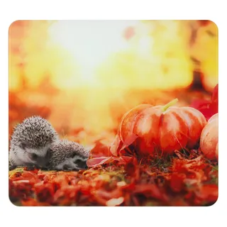 Multi-Platte Mod. Herbst, 3in1 Küchenbrett, Spritzschutz, Herdabdeckplatte, Schneidebrett, Glas, 56 x 50 cm