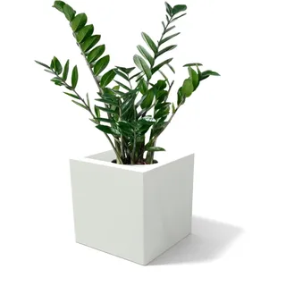 Kloris OASI Blumenkasten quadratisch modern mit Drainage 30 x 30 cm H 30 cm weiß Polyethylen Made in Italy