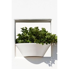 Kloris Runde Vase, Moderne Schüssel für den Außenbereich, Polyethylen, weiß, Durchmesser 50 cm, Höhe 18 cm, Abflussloch am Boden, hohe Qualität, hergestellt in Italien.