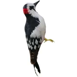 Sharplace Realistisches Künstliches Feder Specht, Lebensechte Specht-Tierfigur, Realistische Gartendekoration aus Polyethylen & Künstlichem Federkleid für Garten, Fenster, Foto Requisit, 33x10x6cm